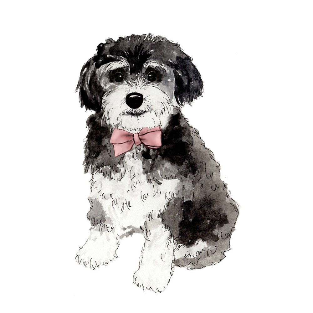 Meet your Posher, Jessie